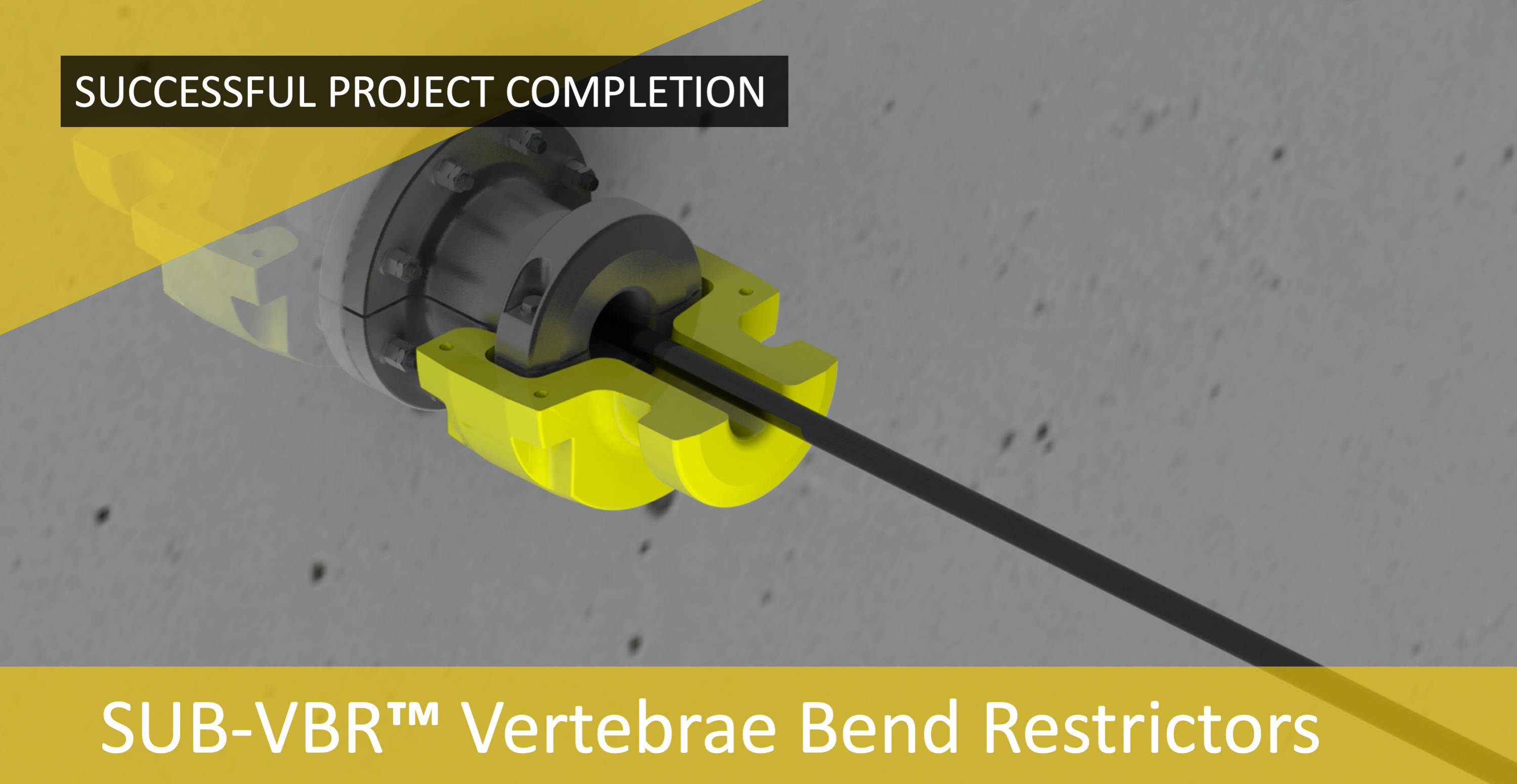 Equipment - SUB-VBR™ Vertebrae Bend Restrictors