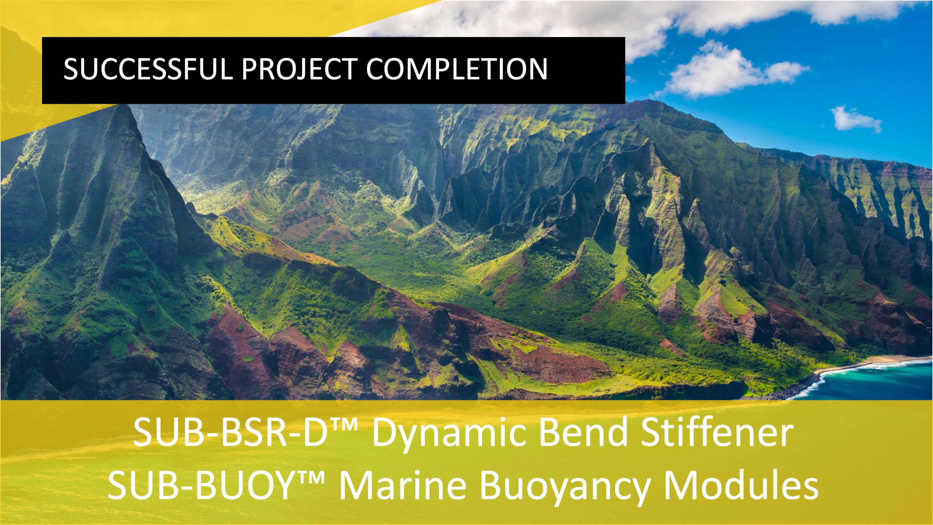 Subsea Energy Solutions (SES) completes Wave Energy project in Hawaii