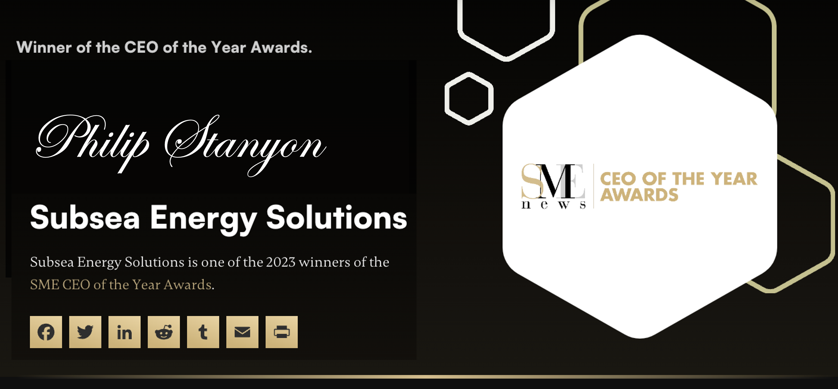 Philip A.R Stanyon winner at the Offshore Cable Solutions CEO of the Year